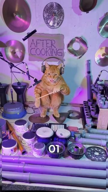 AQNgntqvUe_5U1KwejrvuCVS8FkL5OOQqt_WZsyzvoB9jznIBl6BxW4RiBY0NA3