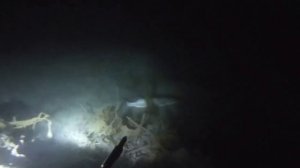 Подводная охота. Поиски карпа в камышах.