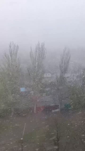 ДНР. Харцызск. 24.04.2026. Зима возвратилась.