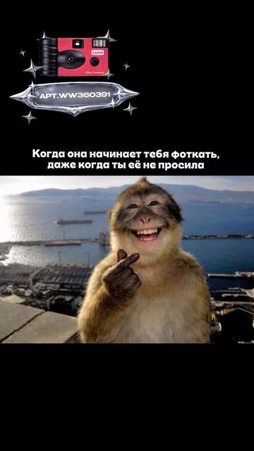 Плёночный фотоаппарат на 36 кадров (Артикул WB: #WW360391)💕