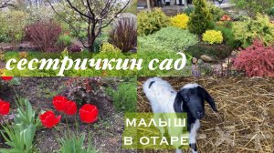 Адыгея/ Хуторские будни/Забежали в гости/Немного показала/Кругом дожди/И печаль и радость/