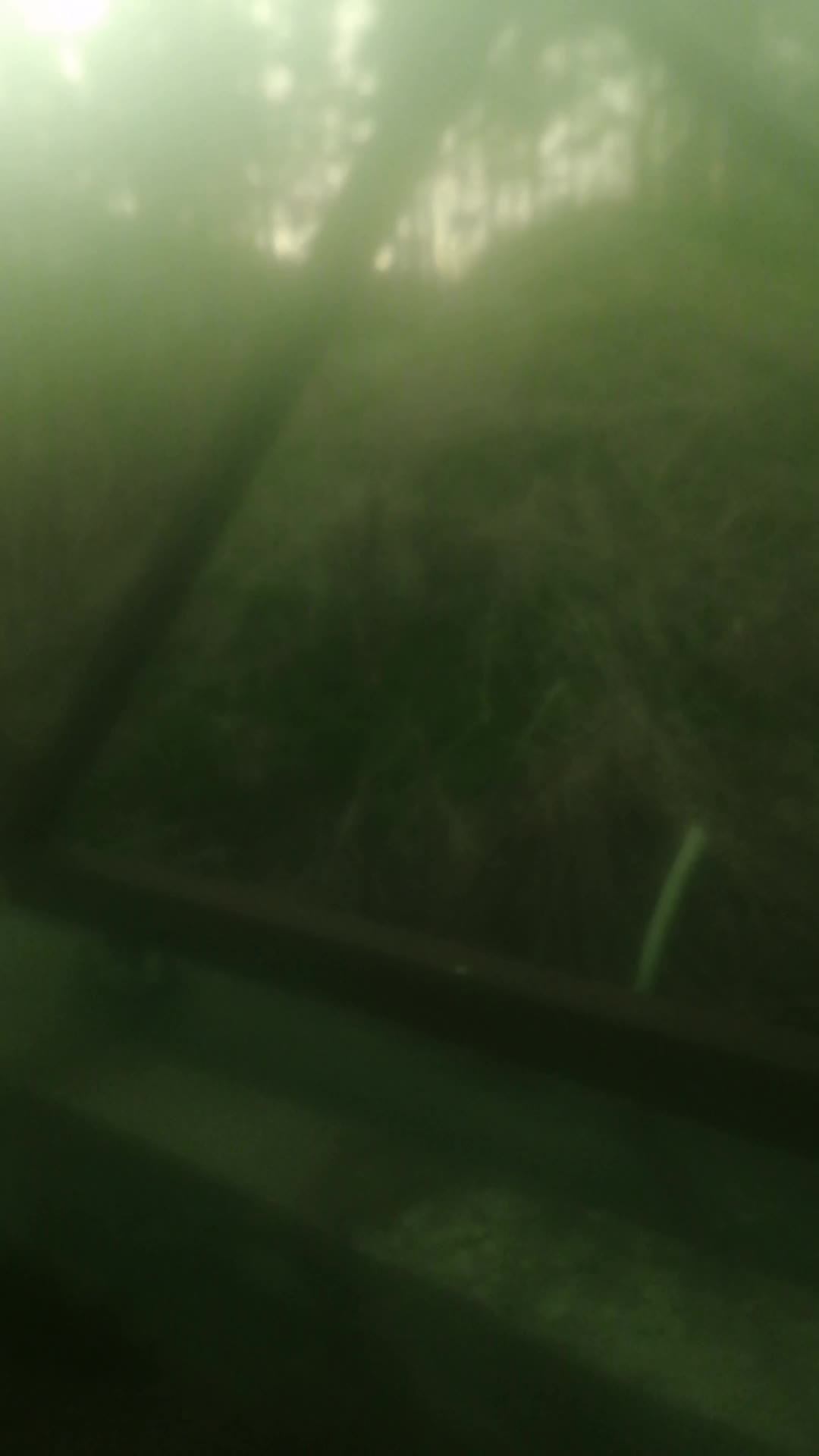 Управляете мной в комментарием