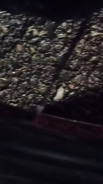 Я СДЕЛАЛ ПИТБАЙК!!!🚲→🏍️