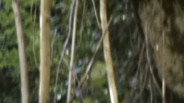 158)и МАМЕДОВОЕ УЩЕЛЬЕ МАМА И ВИОЛЕТТА