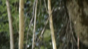 158)и МАМЕДОВОЕ УЩЕЛЬЕ МАМА И ВИОЛЕТТА