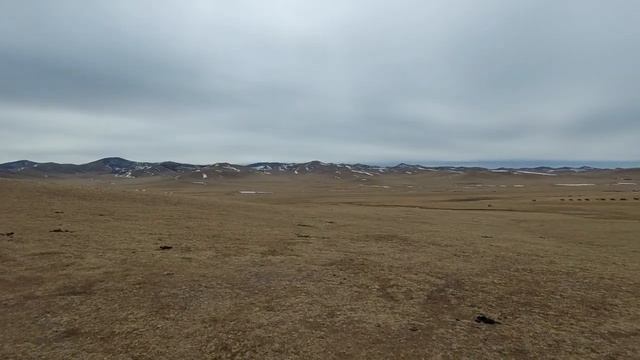 Nella steppa della Mongolia - Mongolian steppe