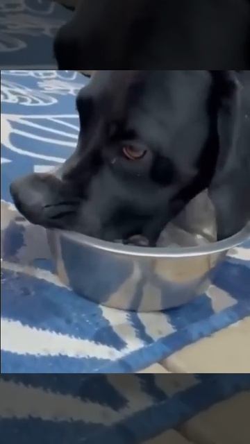 У кого-то длинный нос😁))