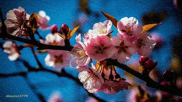 Для души - Успокаивающая музыка для релакса