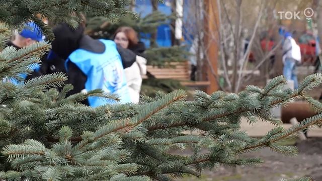 Тюменские «муравьи» готовы встречать лето!