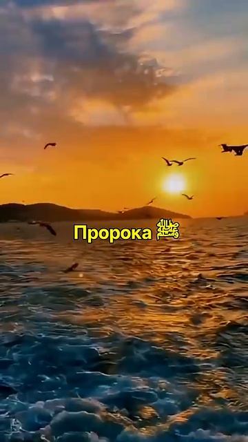 Последний Азан Биляля: голос из Рая