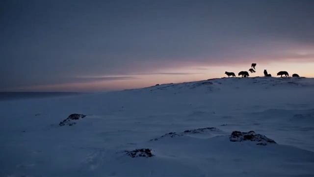 Смерть ждала за дверью. Но мама совершила невозможное.