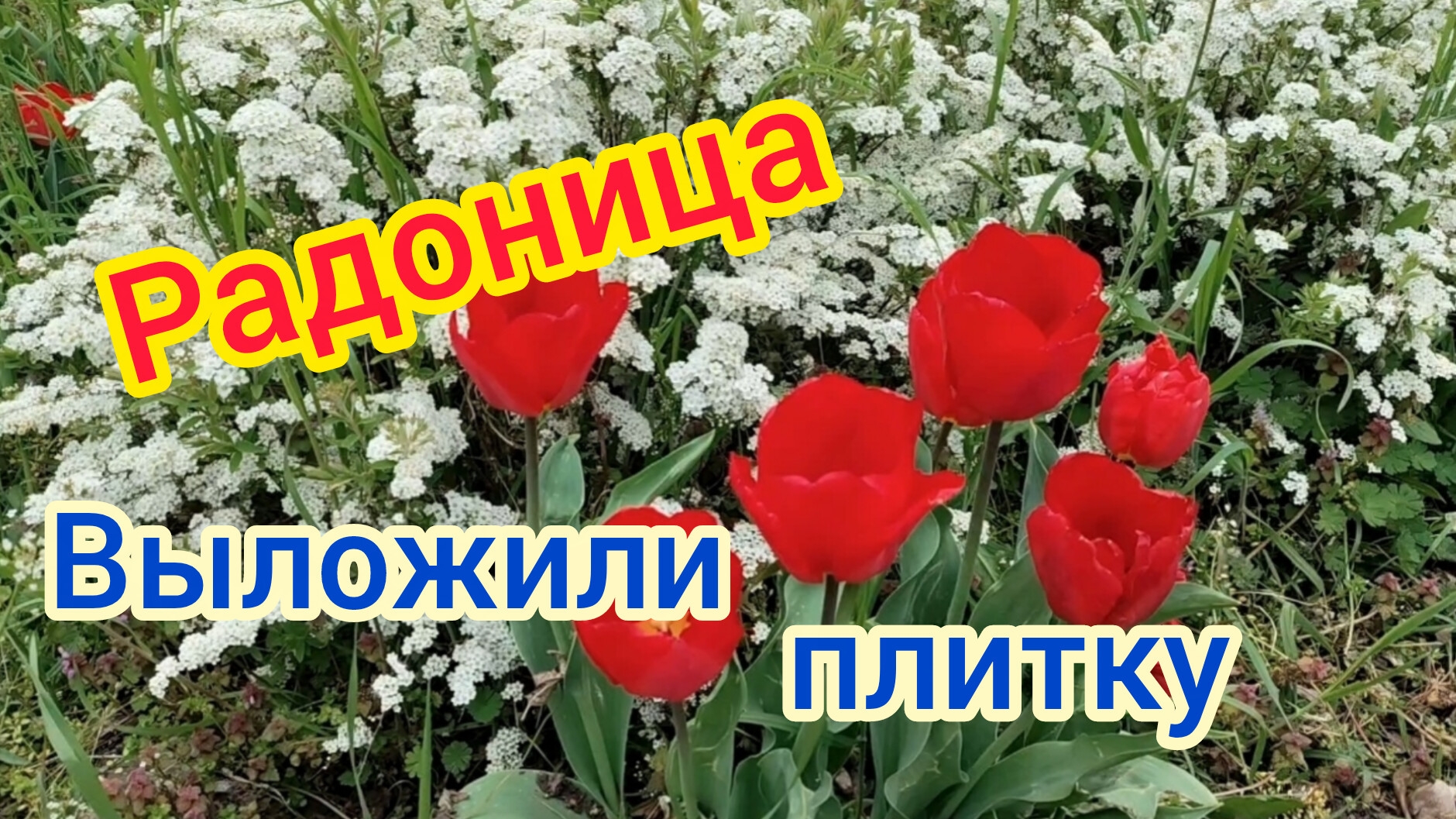 Ура!!!В ванной выложили ПЛИТКУМы ВОЛОНТЁРЫЗапутались в днях