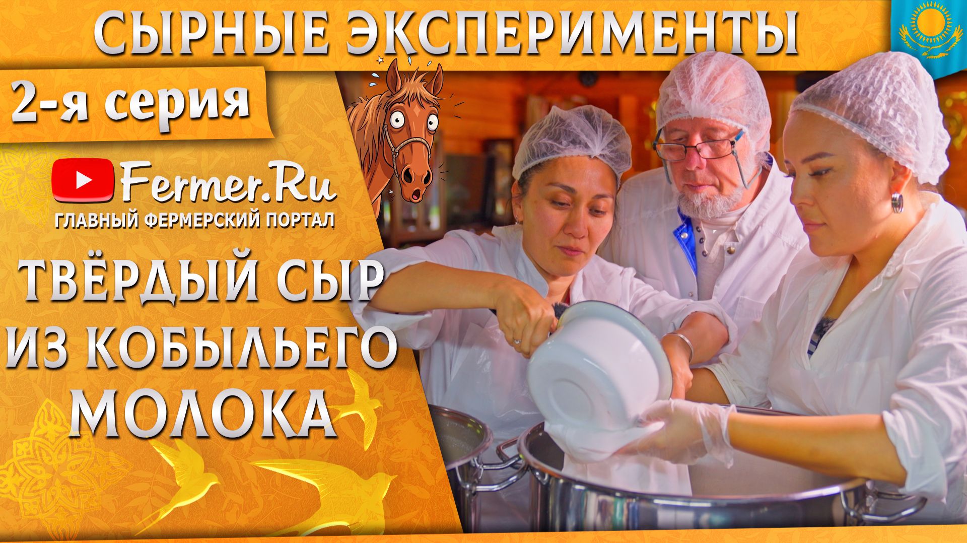 🐎🧀Твердый сыр из кобыльего молока - первый успех! Сырный эксперимент в Алаколь-Агро. Часть2