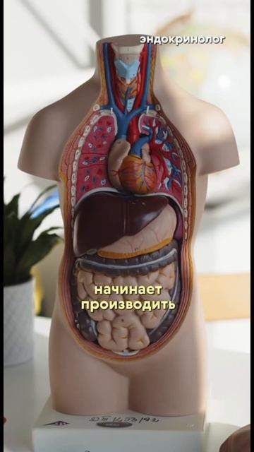 Что делать, если вы забеременели и у вас снижены гормоны щитовидной железы?