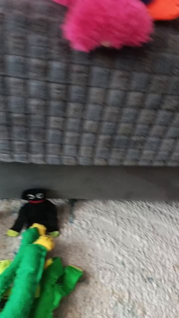 мой фокус-хаги-ваги