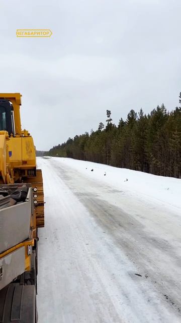 Бульдозер на Богучаны