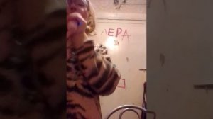 VID_20260424_203135.mp4