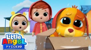 Щенок по кличке Бинго | песенки для детей