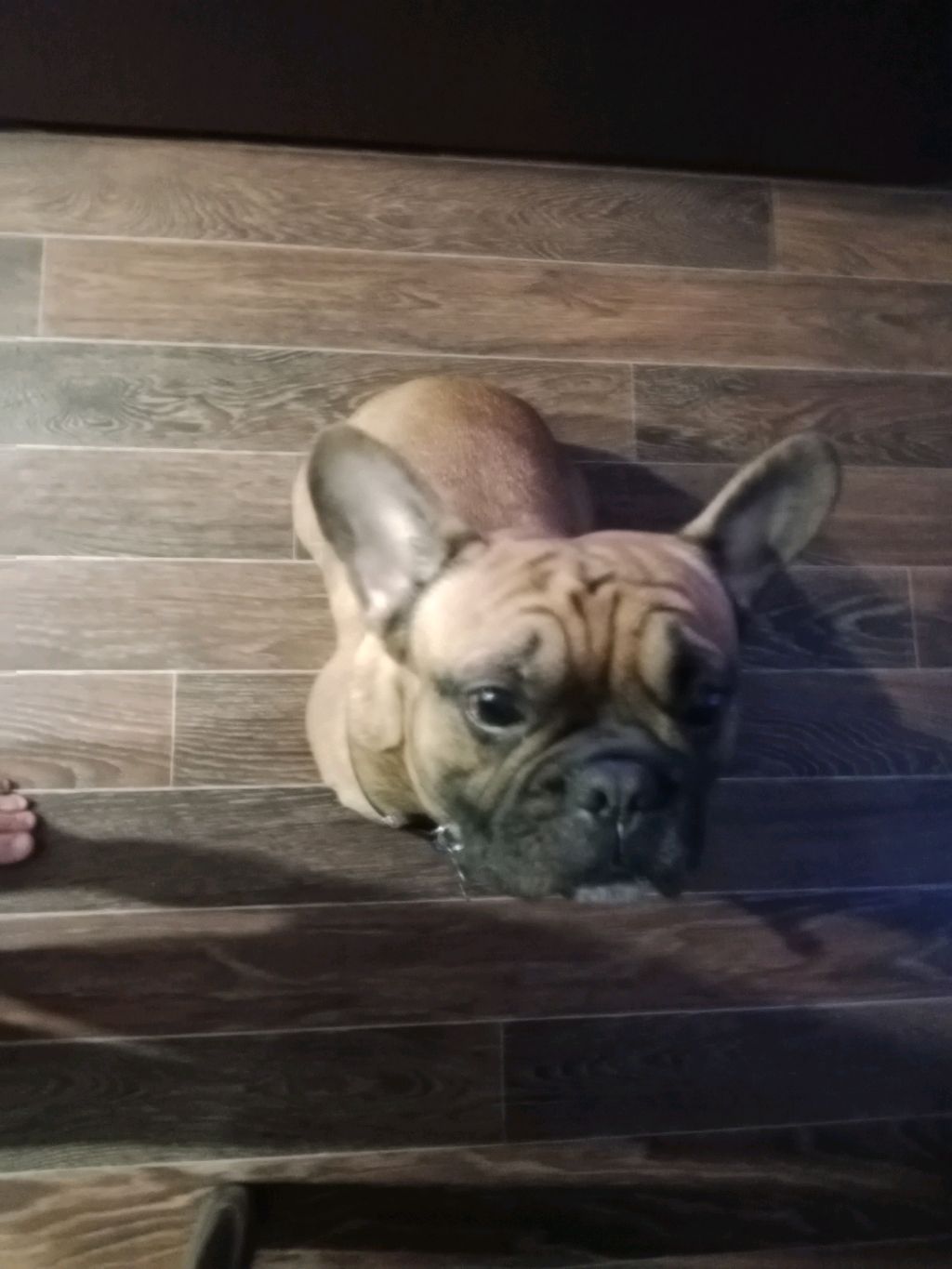 играю в лего Fortnite стрим