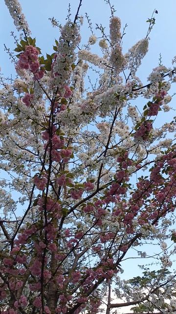 Стамбул, Турция, апрель