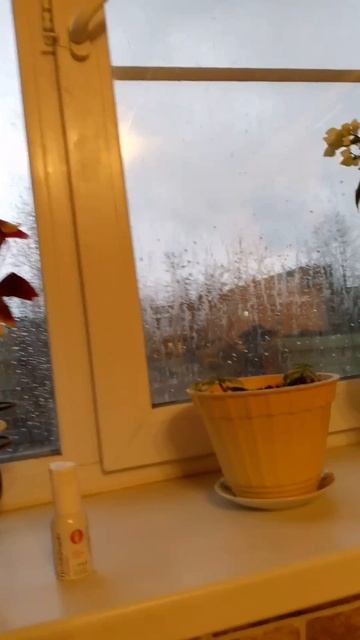 поставьте лайки