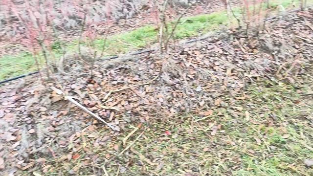 Косилка измельчитель