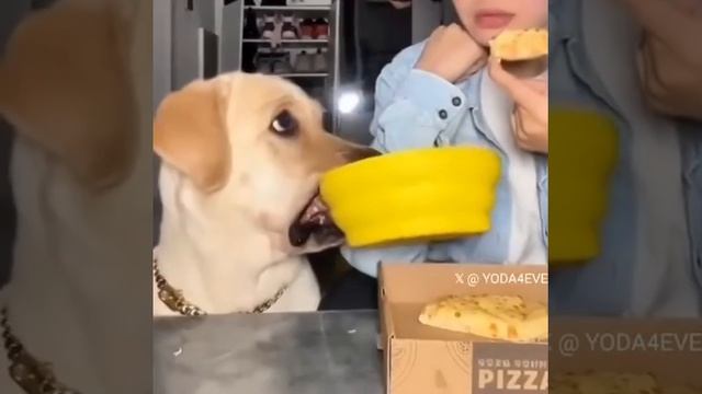 И мне отсыпь😁!))