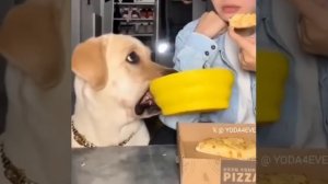 И мне отсыпь😁!))