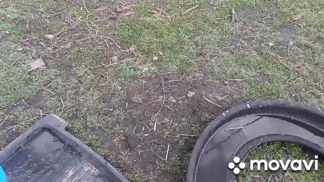 испекла к чаю