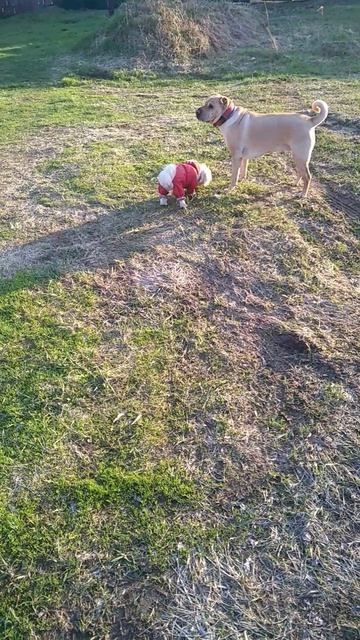 просто хорошо