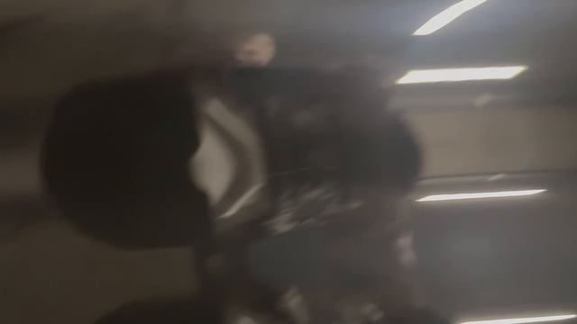 Видео прадо 1