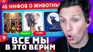 45 МИФОВ о животных: ПРАВДА или ЛОЖЬ? | РЕАКЦИЯ МАЗЕЛЛОВА