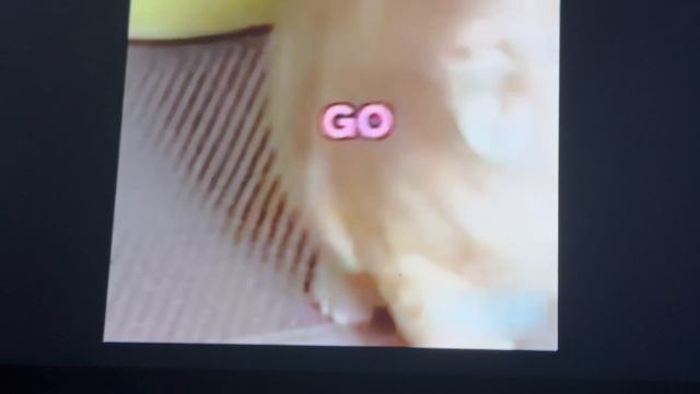 +1 скорость каждую секунду! Мягкие игрушки. от обычных до легендарных марковкин и вадичкин