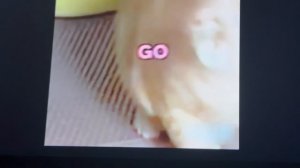 +1 скорость каждую секунду! Мягкие игрушки. от обычных до легендарных марковкин и вадичкин