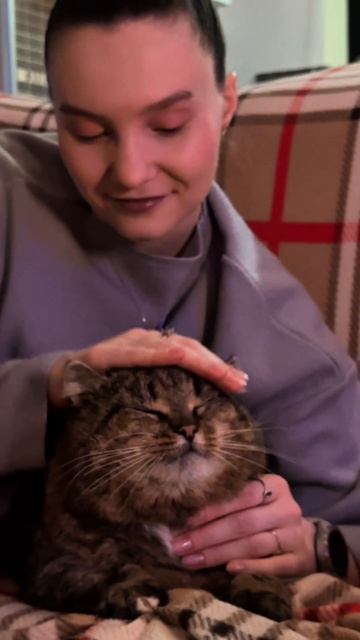 ГИМН всех котиков нашедших свой дом