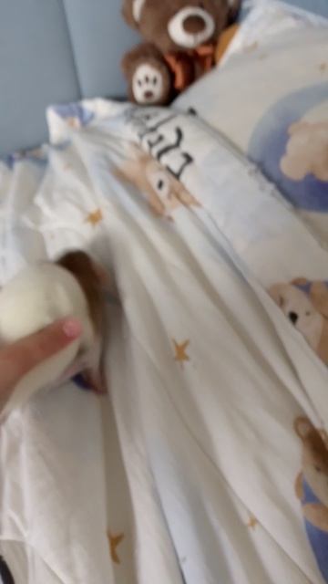 мои петомцы