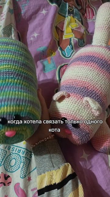 котики #shorts