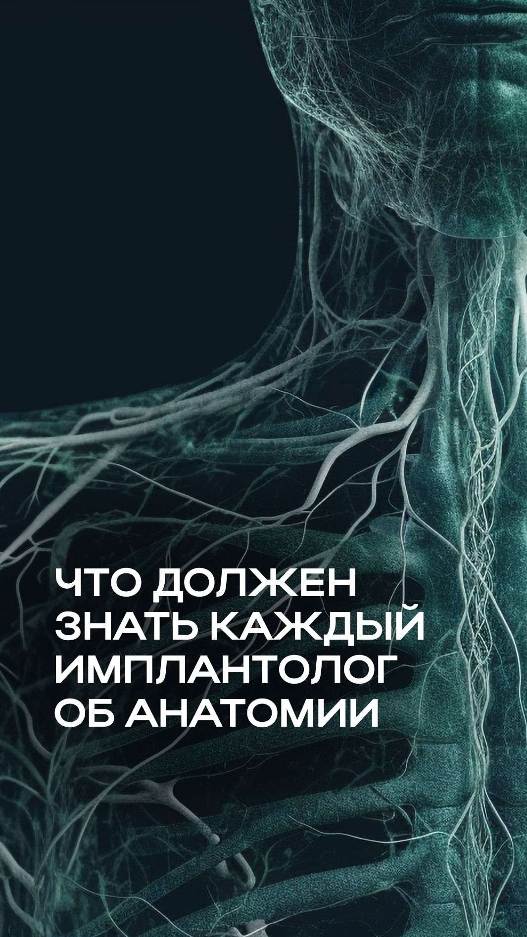 Знание анатомии челюстно-лицевых структур — это