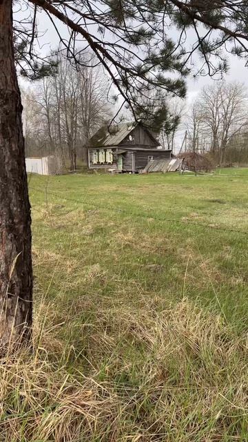 Дом на краю деревни. #дом #деревня #на_краю