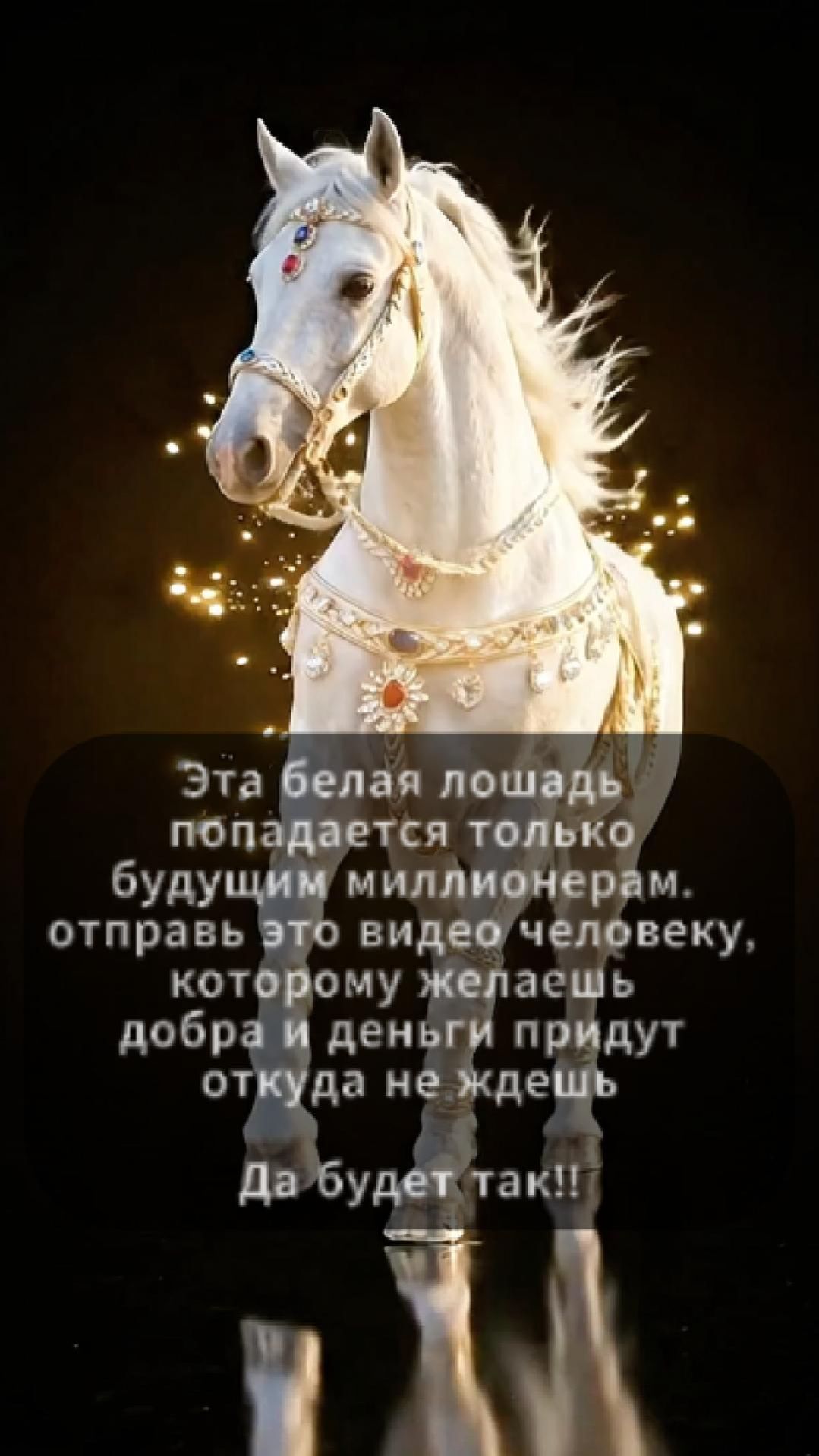 ТЫ БУДУЩИЙ МИЛЛИОНЕР