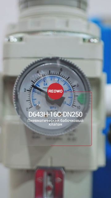 D643H-16C-DN250 пневматический бабочковый клапан-REOWO