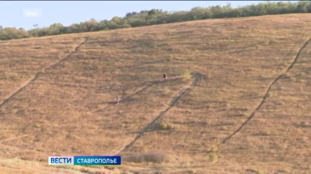 Вести. Ставропольский край 24.04.2026 9.30