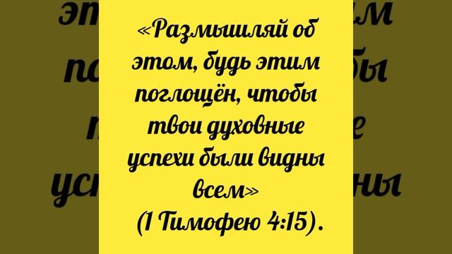 YouCut_20260424_161844801.mp4