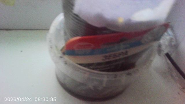 Обзор двух кабачковых растений сорта 