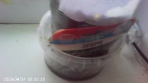 Обзор двух кабачковых растений сорта "Зебра"