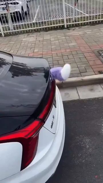 Интересноевидеодлявас