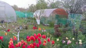 НЕ СОЛОНО ХЛЕБАВШИ. Больше двигайтесь!!!