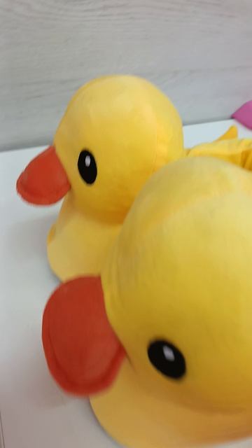 24 апреля 2026 г Заказ Тапки Утки с Вайлдберриз пришёл с опозданием. От- Нины Филиппович.