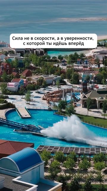 Проявляй себя смело, но без спешки 👇 #мотивация #заработок #деньги #успех #бизнес #здоровье