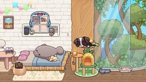 🫠~Новое интро~🫠